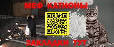 тгк Кингисепп