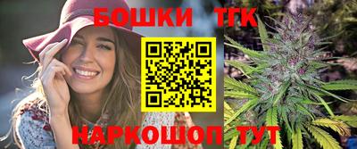 тгк Кингисепп