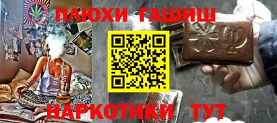тгк Кингисепп