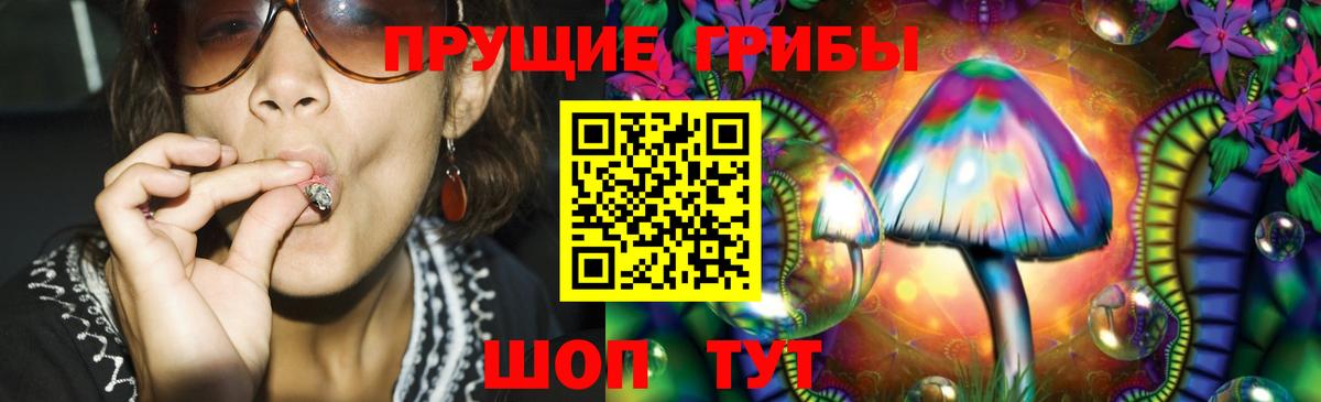 Псилоцибиновые грибы GOLDEN TEACHER  Псилоцибиновые грибы GOLDEN TEACHER  Чусовой  Вход с VPN 